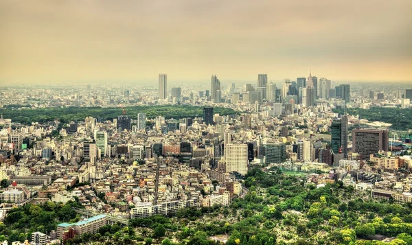 Tokyo havadan görünümü — Stok fotoğraf