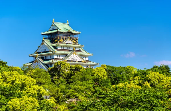 일본 오사카성의 보기 — 스톡 사진