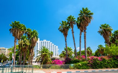 Bahçe ve surlar Tiberias - İsrail