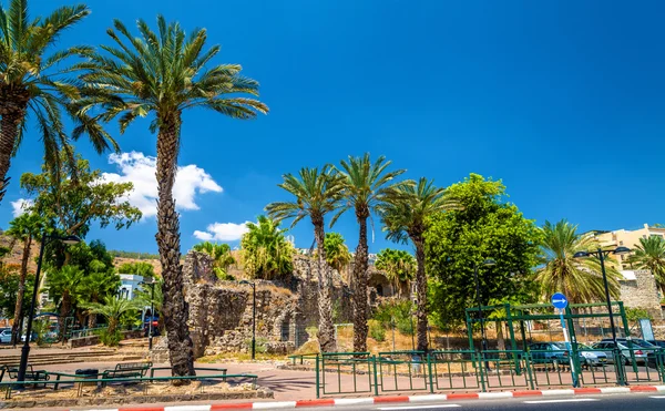 Сад и городские стены в Тверии - Израиле — стоковое фото