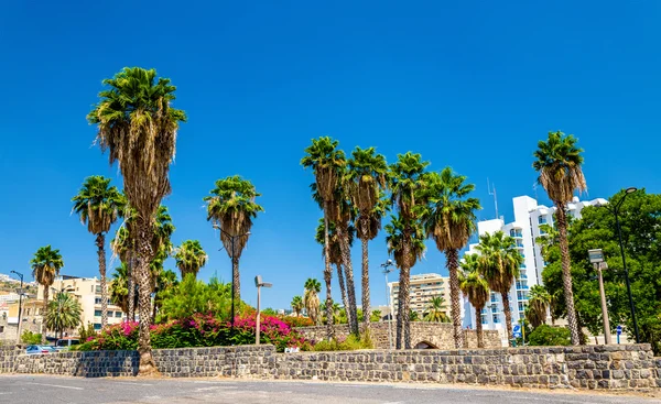 Trädgård och staden väggar i Tiberias - Israel — Stockfoto