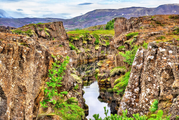 Water in a fissure between tectonic plates in the Thingvellir National Park, Iceland
