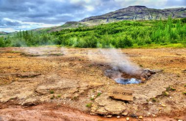 Sürekli Litli Geysir İzlanda'daki kaynar
