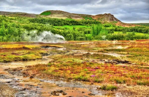 Geothermally active Haukadalur Valley in Iceland Stock Image
