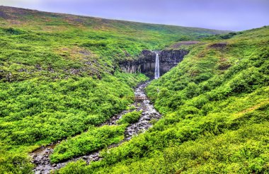 Black Falls, İzlanda anlam Svartifoss görünümünü