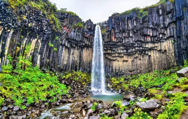 View of Svartifoss meaning Black Falls, Iceland — Stock Photo, Image