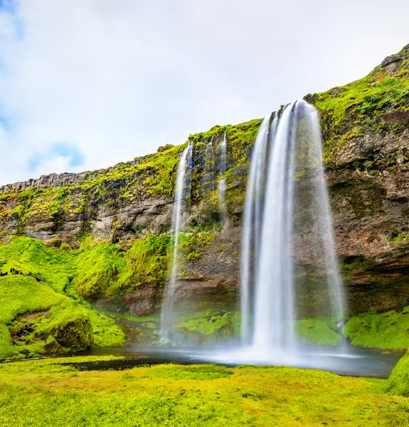 Перегляд Seljalandsfoss водоспад - Ісландії — стокове фото