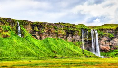 Görünüm Seljalandsfoss şelale - İzlanda