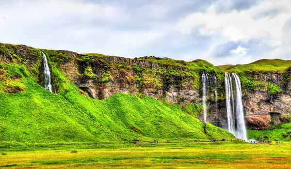 Widok na wodospad Seljalandsfoss - Islandia — Zdjęcie stockowe