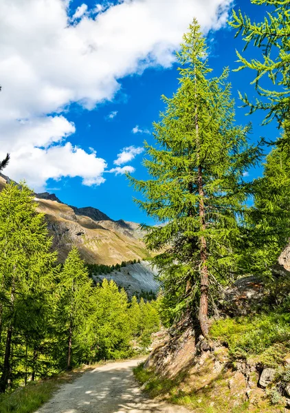 Uitzicht Zwitserse Alpen Bij Zermatt — Stockfoto