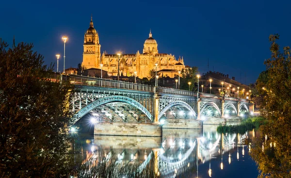 De Nieuwe Kathedraal en de Enrique Estevan brug in Salamanca, Spanje — Stockfoto
