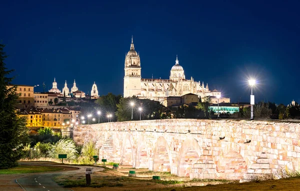 La Catedral Nueva y el Puente Romano en Salamanca, España —  Fotos de Stock