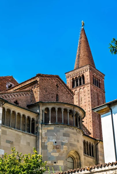 Kathedraal van Piacenza in Italië — Stockfoto