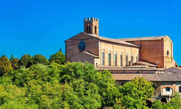 이탈리아 투스카니에 있는 산 도메니코 대성당 로열티 프리 스톡 사진