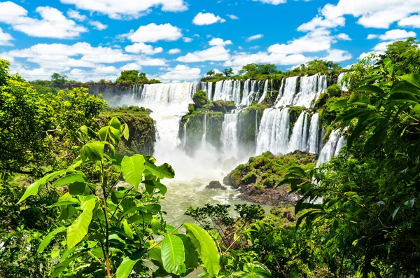 Utsikt från djungeln till Iguazu Falls i Argentina — Stockfoto