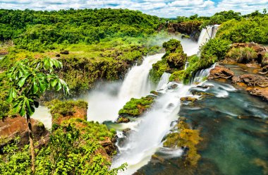 Arjantin 'de tropikal bir yağmur ormanında İguazu Şelalesi
