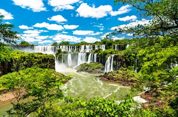 Blick aus dem Dschungel auf die Iguazu-Wasserfälle in Argentinien — Stockfoto