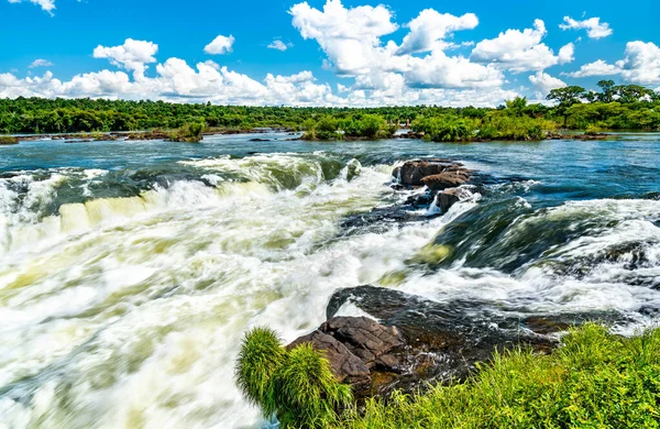Iguazu Falls i tropisk regnskog i Argentina — Stockfoto