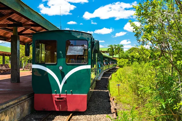Train écologique de la forêt tropicale aux chutes d'Iguazu en Argentine — Photo