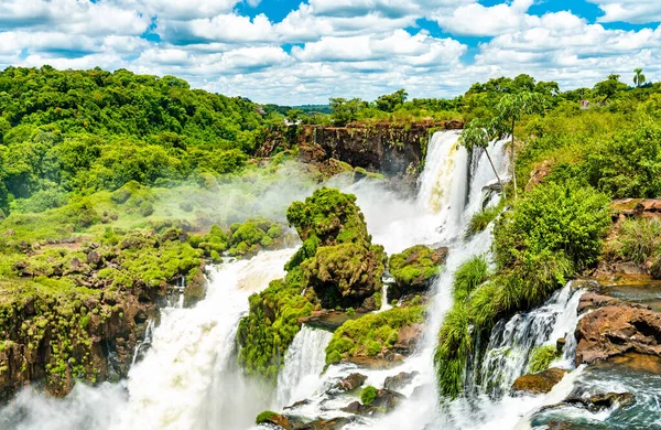 Cascate di Iguazu in una foresta pluviale tropicale in Argentina — Foto Stock