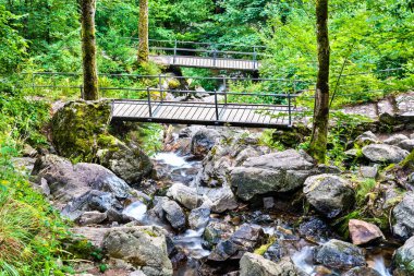Todtnau Şelalesi Kara Orman Dağları, Almanya