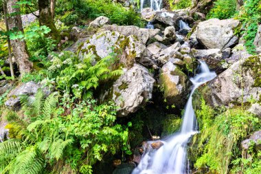 Todtnau Şelalesi Kara Orman Dağları, Almanya
