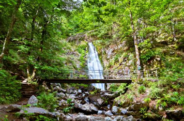 Todtnau Şelalesi Kara Orman Dağları, Almanya