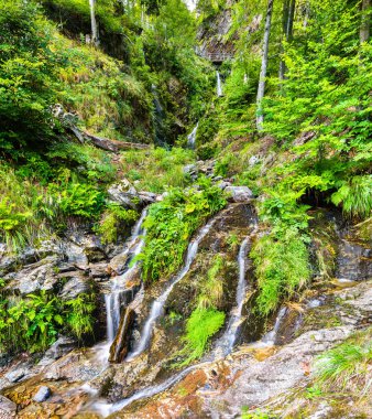 Almanya, Kara Orman 'da Fahler şelalesi
