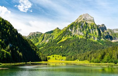 İsviçre Alplerindeki Obersee Gölü 'nde Brunnelistock Dağı