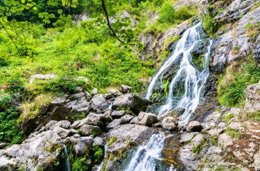 Todtnau Şelalesi Kara Orman Dağları, Almanya