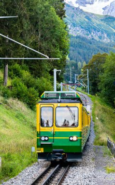 Train on the Wengernalp Railway in Lauterbrunnen, Switzerland