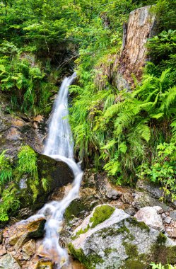 Almanya, Kara Orman 'da Fahler şelalesi