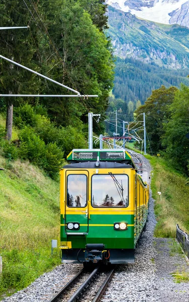 Tren en el ferrocarril de Wengernalp en Lauterbrunnen, Suiza —  Fotos de Stock