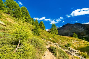 Zermatt yakınlarındaki İsviçre Alplerinin görüntüsü