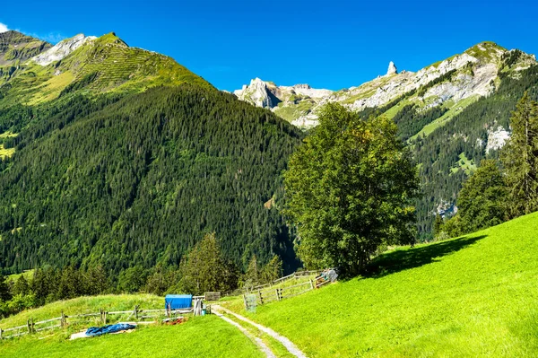 Uitzicht op de Alpen in Wengen, Zwitserland — Stockfoto