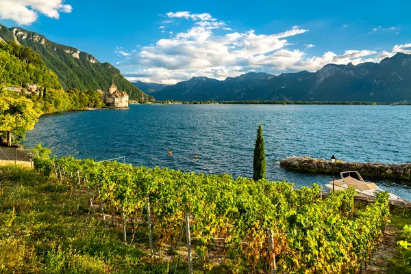 Winnice i Chillon Castle nad Jeziorem Genewskim w Szwajcarii — Zdjęcie stockowe