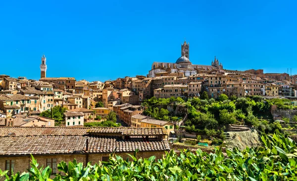 Pohled na středověké město Siena v Itálii — Stock fotografie