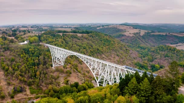 Tåg på Viaur Viaduct i Aveyron, Frankrike — Stockvideo