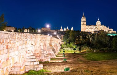 Yeni Katedral ve İspanya 'nın Salamanca kentindeki Roma köprüsü