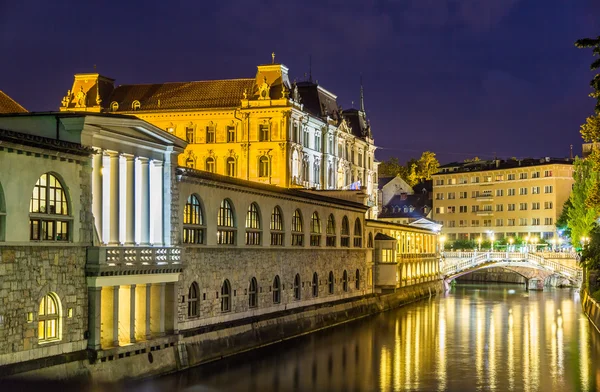 Nattvisning av Ljubljana - Slovenien — Stockfoto