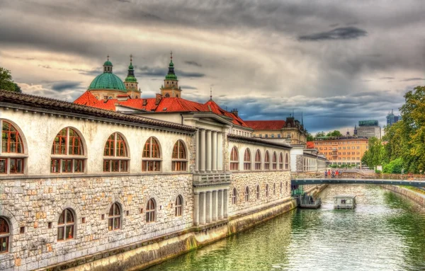 Embankment em Liubliana - Eslovénia — Fotografia de Stock