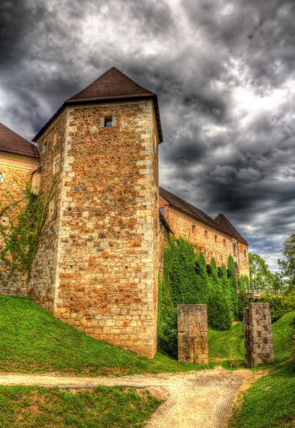 Ljubljana Kalesi - Slovenya görünümünü — Stok fotoğraf