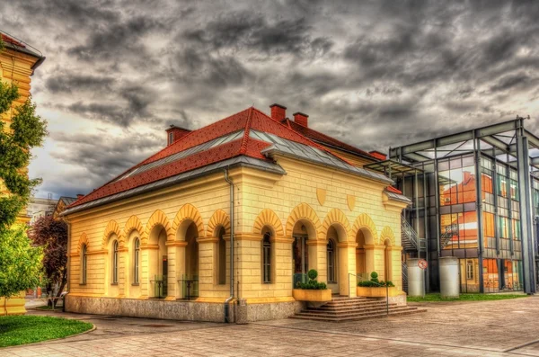 Um museu em Liubliana - Eslovénia — Fotografia de Stock