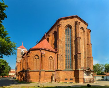 Basillica St. Peter ve St. Paul Kaunas, Litvanya