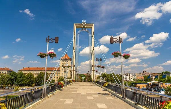 Pont piétonnier au-dessus de la rivière Nemunas à Kaunas, Lituanie — Photo