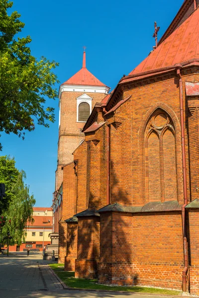 Basillica of St. Peter and St. Paul in Kaunas, Lithuania — Stock Photo, Image