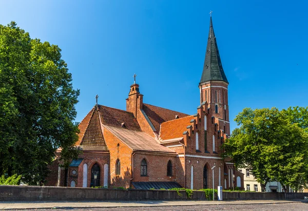 Vytautas' velký kostel v Kaunasu, Litva — Stock fotografie