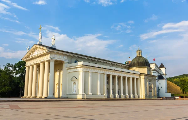 Vue de la cathédrale de Vilnius en Lituanie — Photo