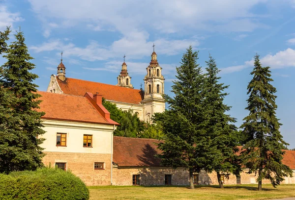 Церковь Святого Рафаила в Вильнюсе, Литва — стоковое фото