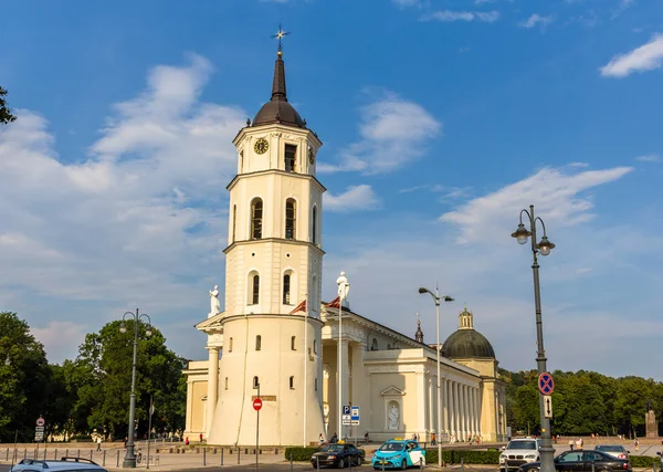 Vista de la Catedral de Vilna en Lituania — Foto de Stock